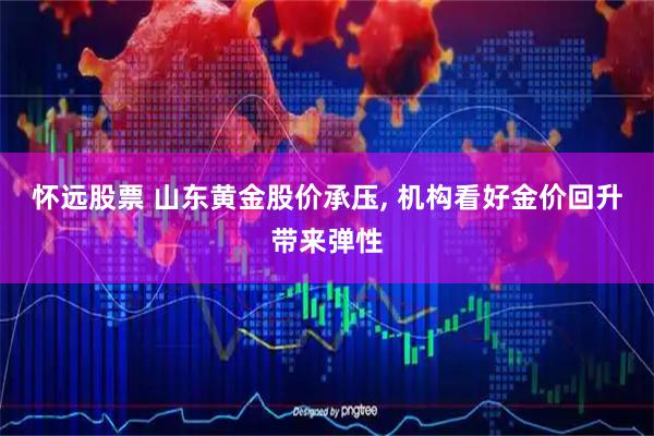 怀远股票 山东黄金股价承压, 机构看好金价回升带来弹性