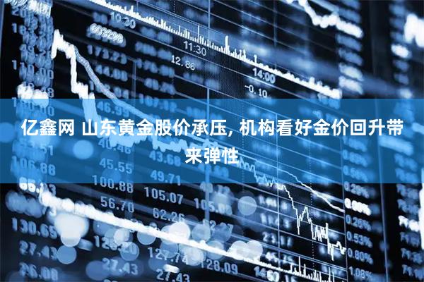亿鑫网 山东黄金股价承压, 机构看好金价回升带来弹性