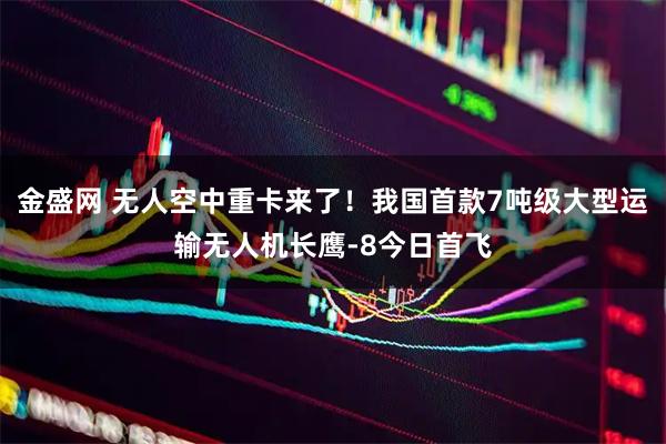 金盛网 无人空中重卡来了！我国首款7吨级大型运输无人机长鹰-8今日首飞
