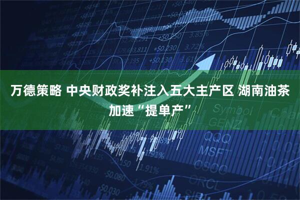 万德策略 中央财政奖补注入五大主产区 湖南油茶加速“提单产”