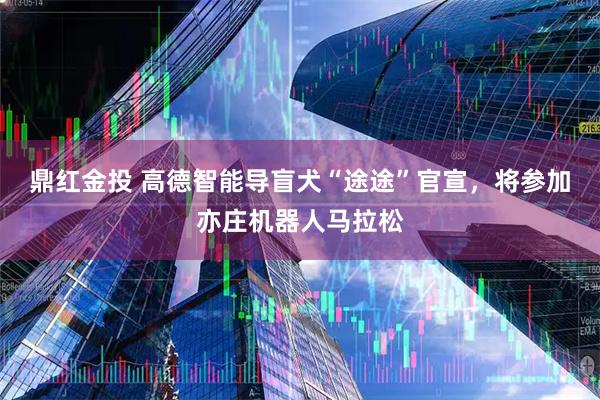 鼎红金投 高德智能导盲犬“途途”官宣,将参加亦庄机器人马拉松