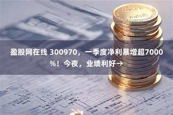 盈股网在线 300970,一季度净利暴增超7000%!今夜,业绩利好→
