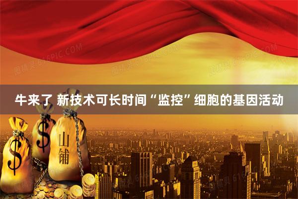 牛来了 新技术可长时间“监控”细胞的基因活动