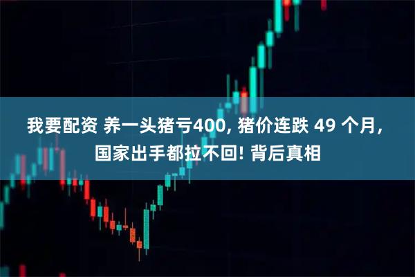 我要配资 养一头猪亏400, 猪价连跌 49 个月, 国家出手都拉不回! 背后真相
