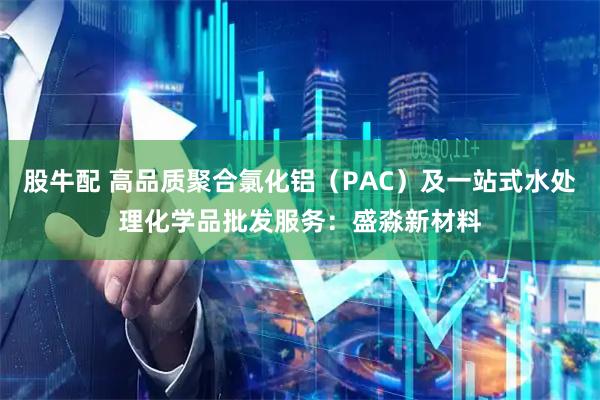 股牛配 高品质聚合氯化铝（PAC）及一站式水处理化学品批发服务：盛淼新材料