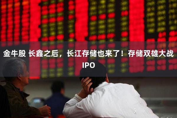 金牛股 长鑫之后，长江存储也来了！存储双雄大战IPO