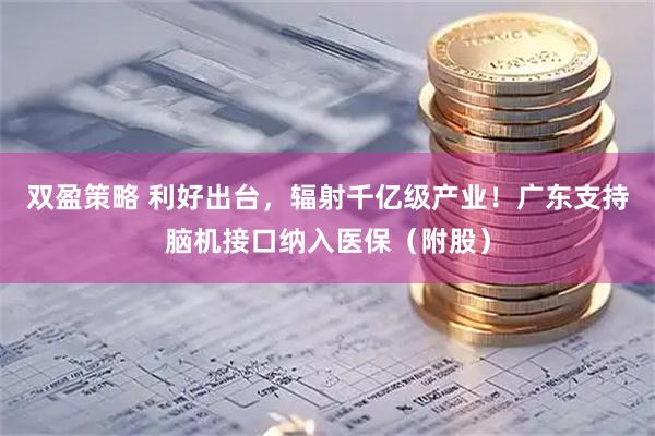 双盈策略 利好出台，辐射千亿级产业！广东支持脑机接口纳入医保（附股）