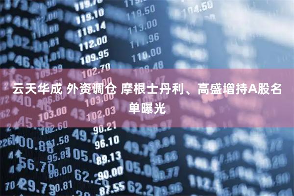 云天华成 外资调仓 摩根士丹利、高盛增持A股名单曝光