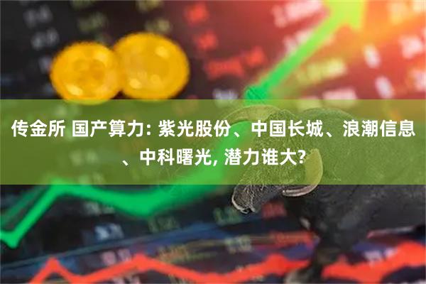 传金所 国产算力: 紫光股份、中国长城、浪潮信息、中科曙光, 潜力谁大?