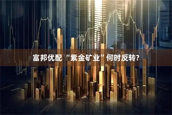 富邦优配 “紫金矿业”何时反转?